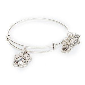 Prints of Love 🐾 Alex and Ani